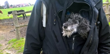 WP_20170414_15_12_47_Pro_LI