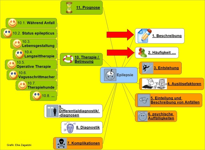 Epilepsie Beschreibung Häufigkeit