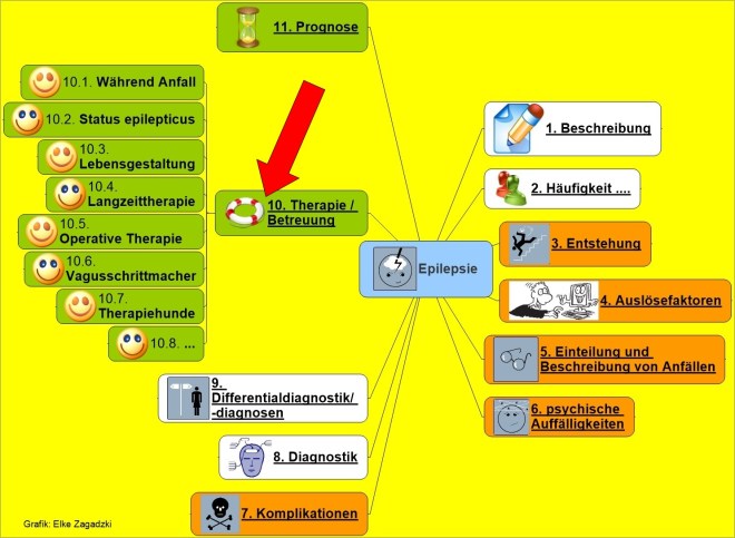 10 Epilepsie Therapie Betreuung
