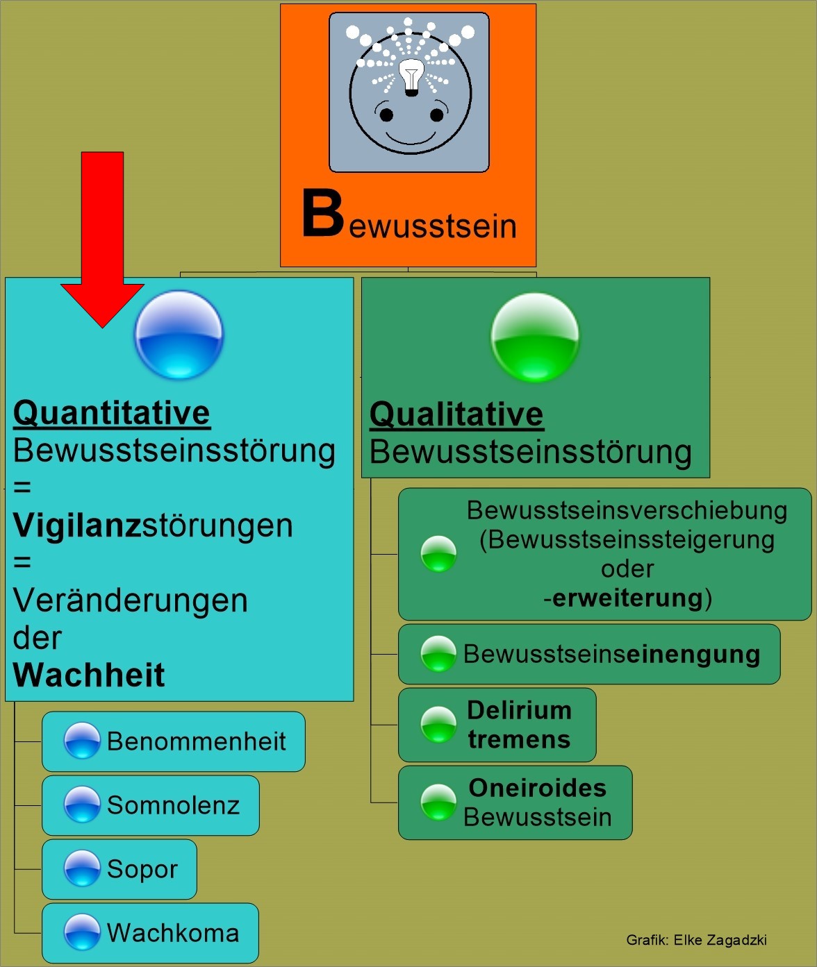 1.2.Quantitative BWS störungen